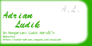 adrian ludik business card